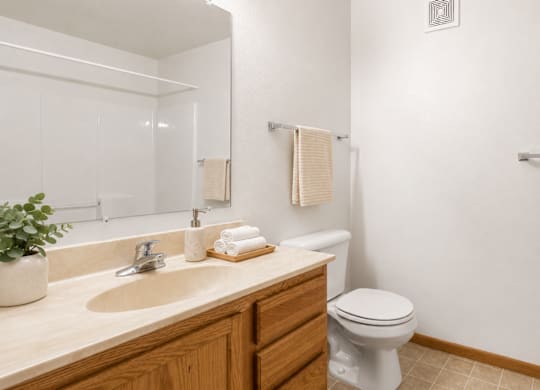 A white toilet sits next to a sink in a bathroom.