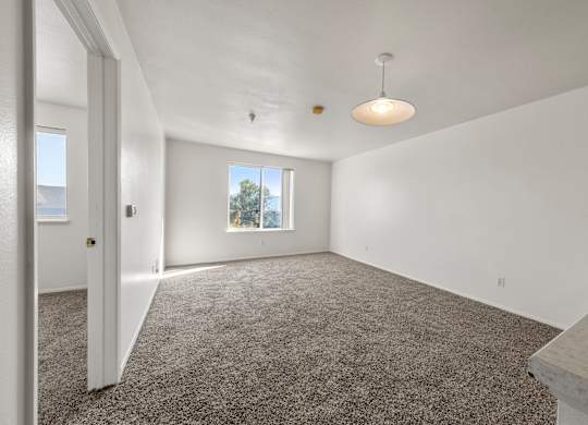 A spacious room with carpeted floor and a window.