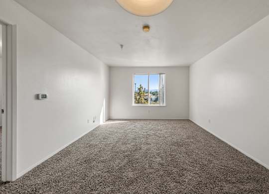 A room with a grey carpet and a window overlooking a tree.