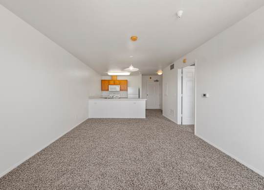 A room with a grey carpet and white walls.