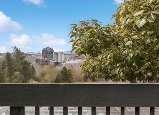 A tree with green leaves is in the foreground of a cityscape.