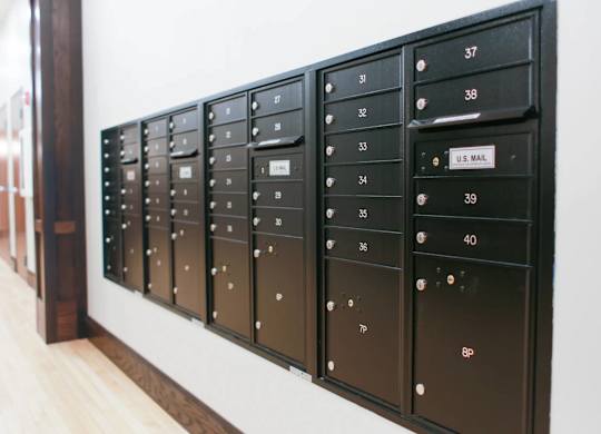 A row of mailboxes are lined up on a wall.