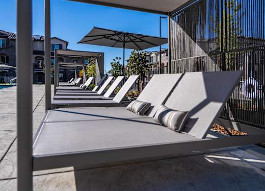 A row of sun loungers are in the sunshine.