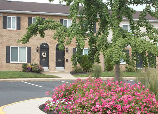 A building with a black door and windows with a bush of pink flowers in front.