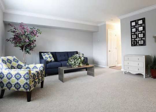 A living room with a sofa, a chair, a coffee table, and a potted plant.