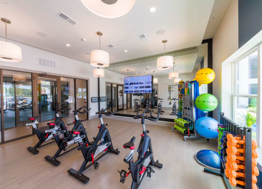 Modern fitness center with cardio and strength training equipment at Ciel Luxury Apartments, Florida, 32246