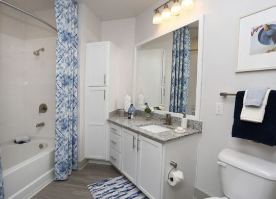 Modern bathroom with granite countertop and white cabinetryat Ciel Luxury Apartments, Jacksonville