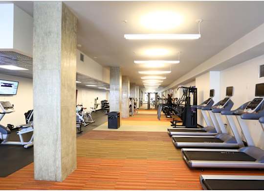 A gym with treadmills and exercise equipment.