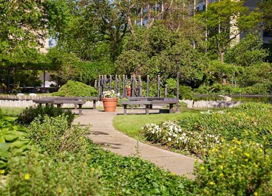 A garden with a paved walkway and a variety of plants.