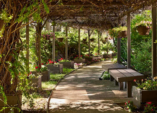 A walkway with benches and a trellis with hanging plants.