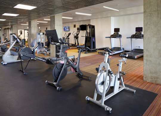 A gym with treadmills, elliptical machines, and other cardio equipment.