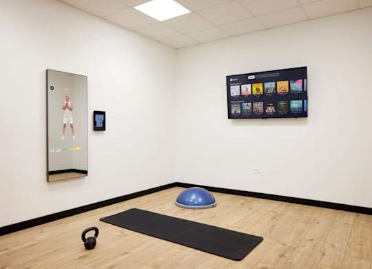 A room with a mirror, a television, a yoga ball, and a kettlebell.