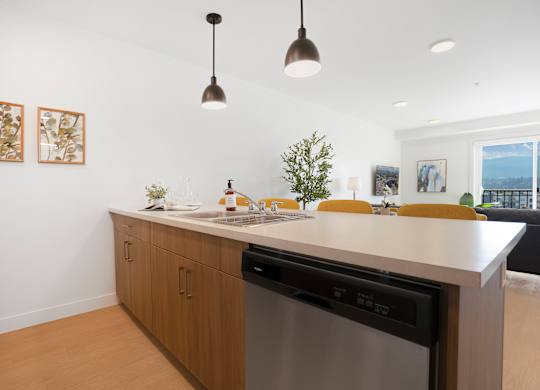 A modern kitchen with a dishwasher and a countertop.