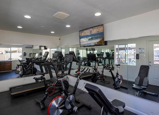 A gym with treadmills, exercise bikes and other equipment.