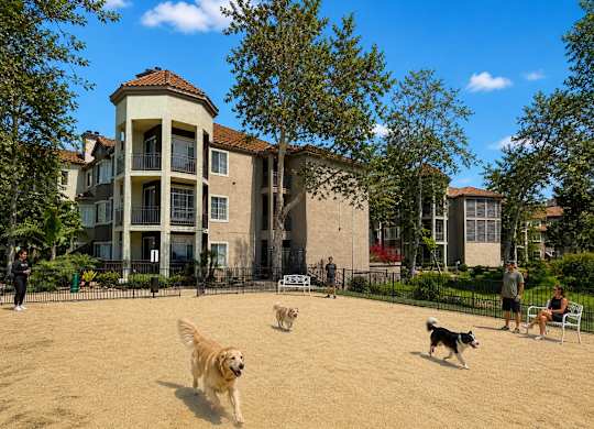 A dog is running in the sand in front of a building.
