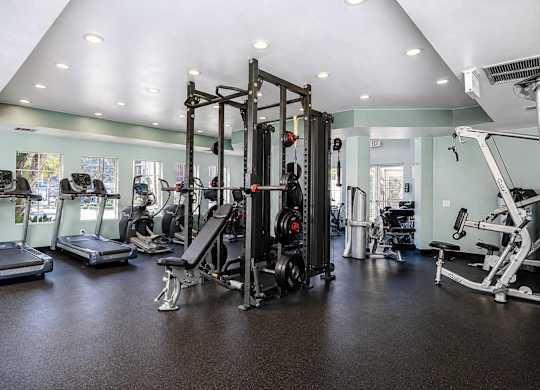 A gym with a variety of equipment including treadmills, weights, and a bench press.