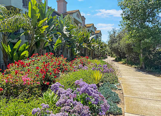 A beautiful garden with a variety of flowers and plants.