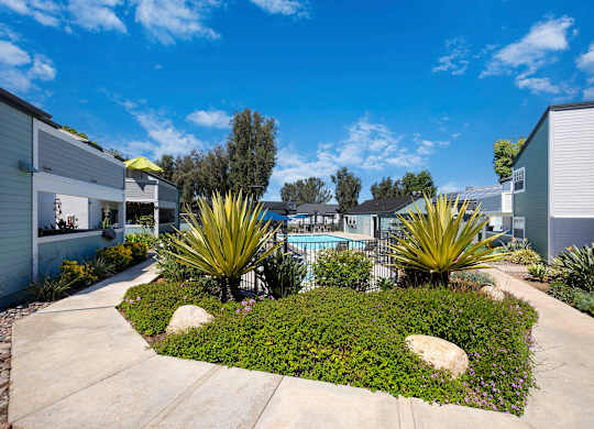 A sunny day in a courtyard with a pool, surrounded by plants and buildings.