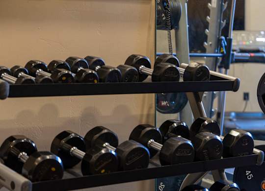 A rack of black dumbbells in a gym.