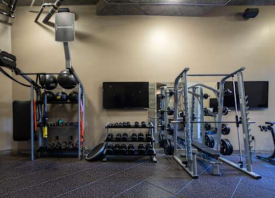 A gym with a variety of equipment including a weight bench, dumbbells, and a television.