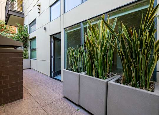 A modern building with a glass door and a planter box with plants.