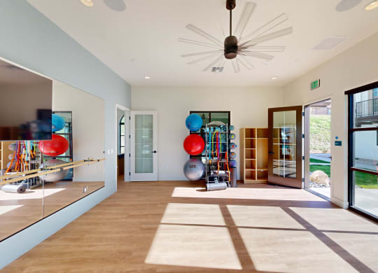 a gym with a bunch of balls and a glass door at The Villas at Anacapa Canyon, Camarillo