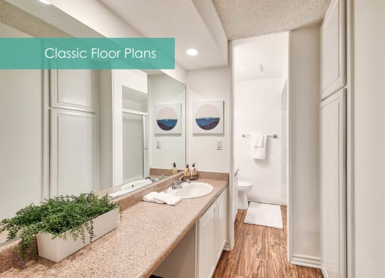 a bathroom with a sink and a mirror and a closet at The Meadows Apartments, Culver City , California