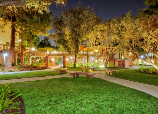 a park with benches and grass and trees at night at The Meadows Apartments, California, 90230