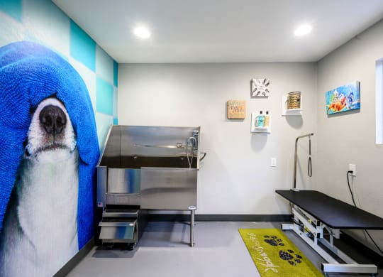 a dog with a towel on its head in a kitchen at Sendero Huntington Beach, Huntington Beach