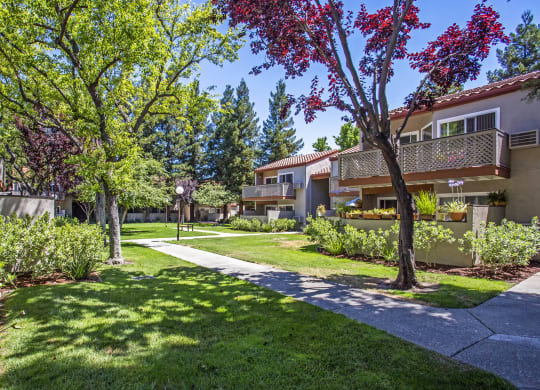 a walkway between two apartment buildings with trees and grass at Valley Plaza Villages, Pleasanton
