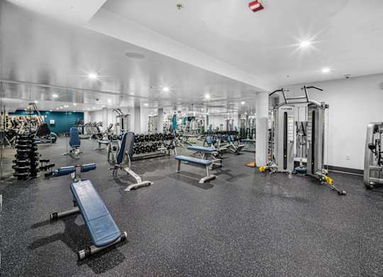 Free weights in the fully-equipped gym at Esprit Apartments, Marina del Rey, California