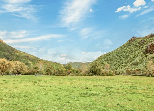 Green Landscape  at Mission Hills, Camarillo, CA