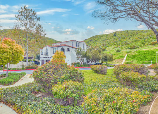 Scenery  at Mission Hills, Camarillo, California
