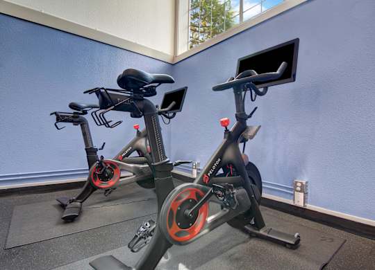 Two stationary bikes are parked in a room.