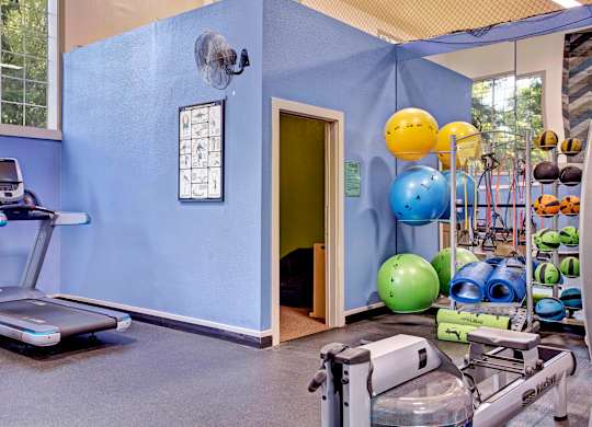 A gym with a treadmill, exercise balls, and weights.