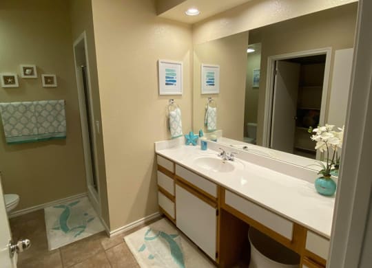 Luxurious Bathroom at Waters Edge Apartment Homes, Texas