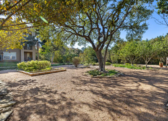 a park with a tree and a house in the background at Sonterra Apartment Homes, Austin, 78726