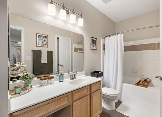 a bathroom with a sink and a toilet and a shower at The Verandah, Texas, 78726