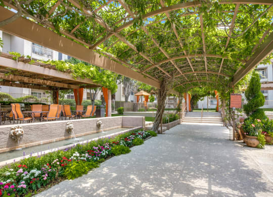 a courtyard with a pergola and flowers and benches at La Ventura Apartments, Plano, 75093