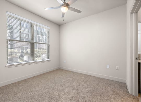 Plush Carpeting at North Creek, Hutto, TX
