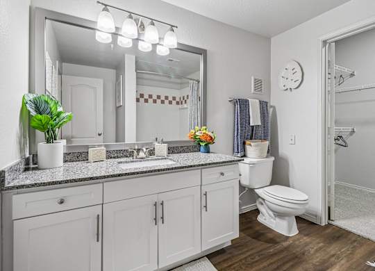 A bathroom with a white toilet and a large mirror above the sink.