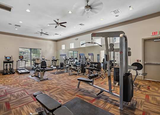 A gym with a variety of equipment including a treadmill, weights, and a bench press.
