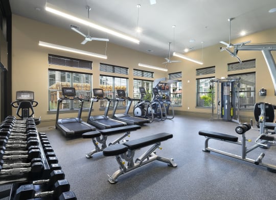 a gym with cardio equipment and weights at the enclave at university heights at North Creek, Hutto, 78634