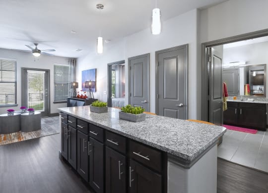a kitchen with a granite counter top in front of a living room at North Creek, Hutto, TX