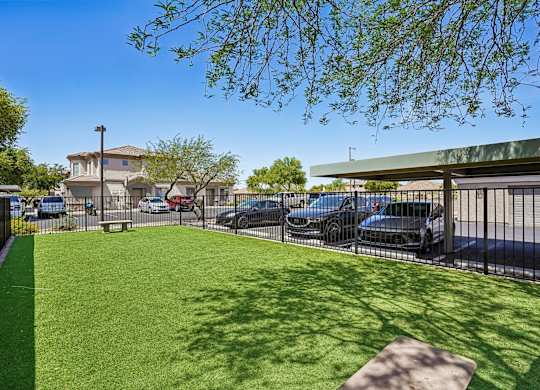 A sunny day at a residential area with a green lawn and a black car.