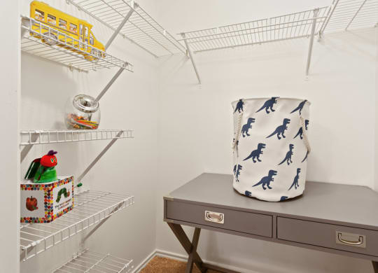Large Closets  at Stone Oak @ Parmer, Austin, 78727