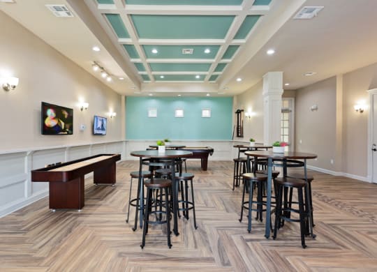 Community Game Room  at Stone Oak @ Parmer, Austin, TX