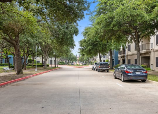 a tree lined street with cars parked on the side of the road at Artisan Apartments & Shops, Austin