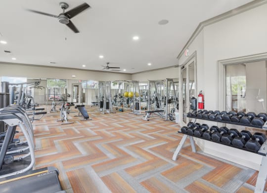 the generously sized gym is equipped with cardio machines and weights