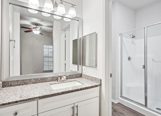 a bathroom with a sink and a shower and a mirror at La Ventura Apartments, Plano, TX, 75093